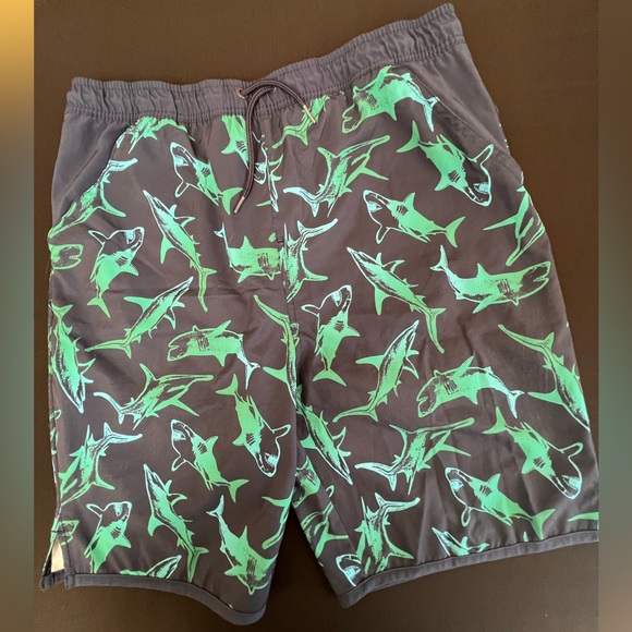 Lands' End Other - LANDS END BOYS XXL 18-20 SWIM TRUNKS  NAVY BLUE & GREEN.  COLOR DISTORTION